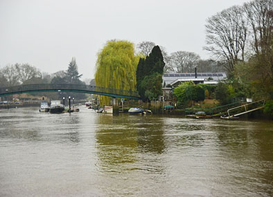 eel pie island music story